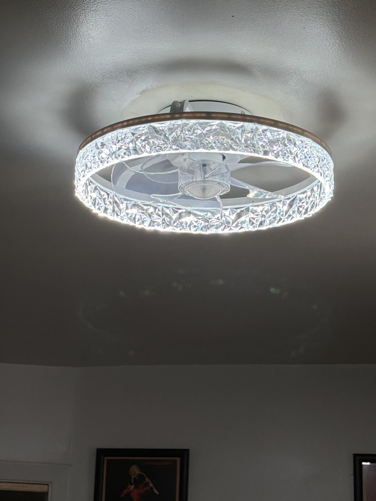 Depuley Modern Ceiling Fan with Light: 19