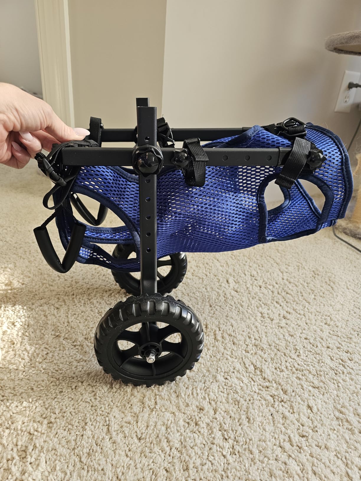 Dog Wheelchair for Back Legs, Dog Wheelchair Cart, Doggy/Cat Wheelchairs with Disabled Hind Legs Walking, Mobility Aids for Small Medium Pet Hind Limbs, Dogs Cart with Wheels, Light Weight customer photo 2