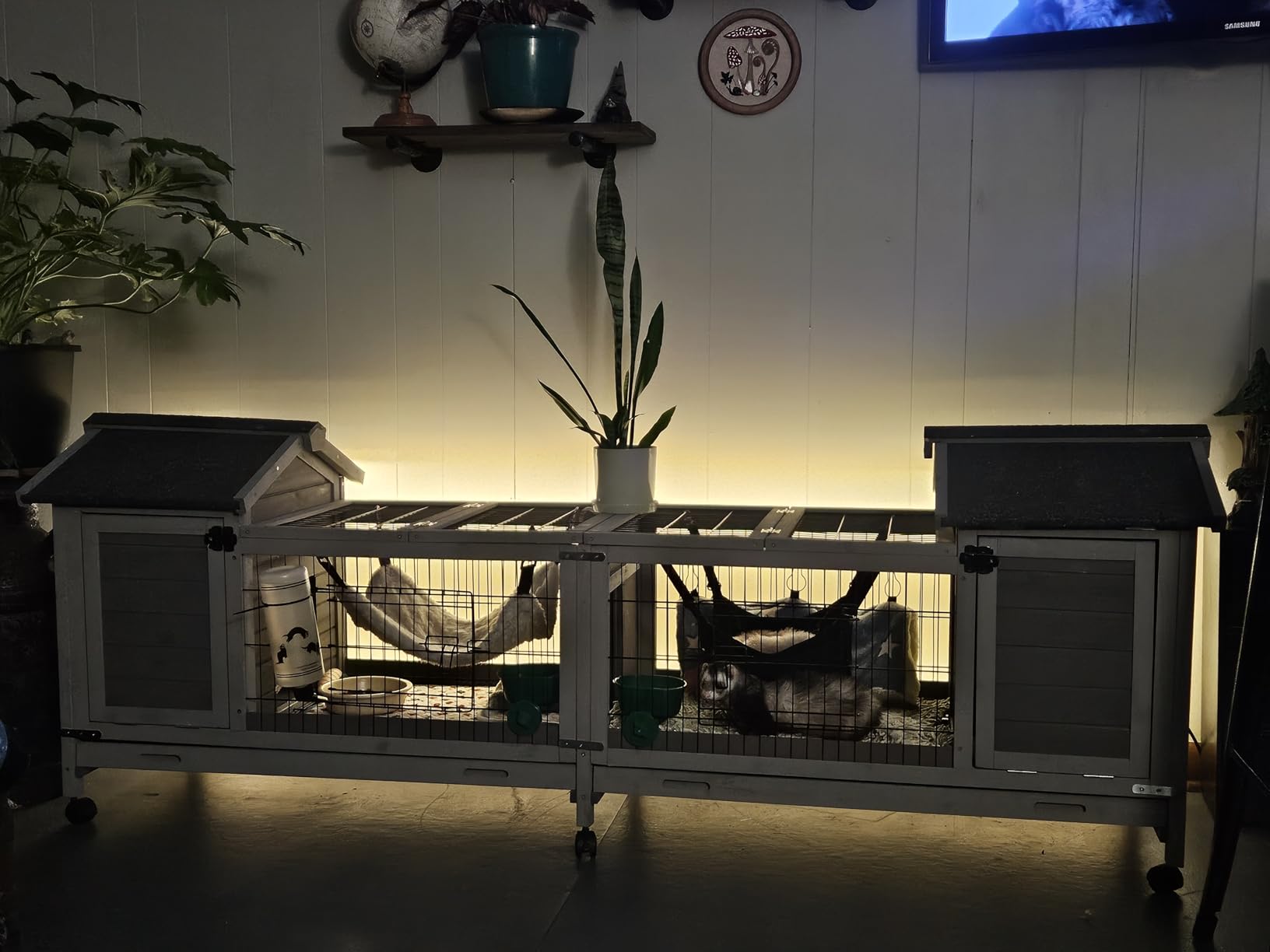 Aivituvin Rabbit Hutch Indoor Bunny Cage Outdoor Bunny House with Wire Floor Leakproof Plastic Tray, Brown customer photo 1