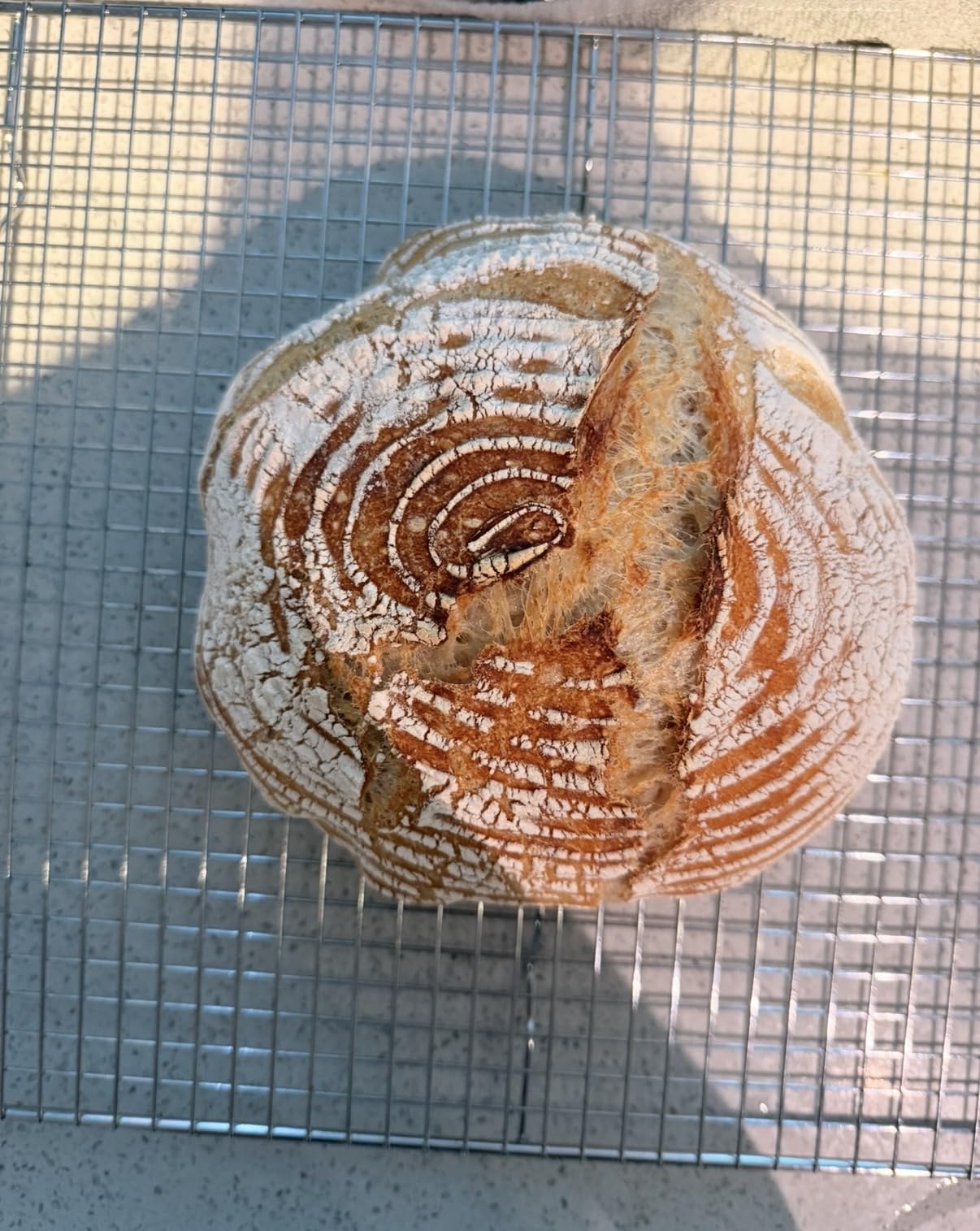 Superbaking Sourdough Starter Kit, 9