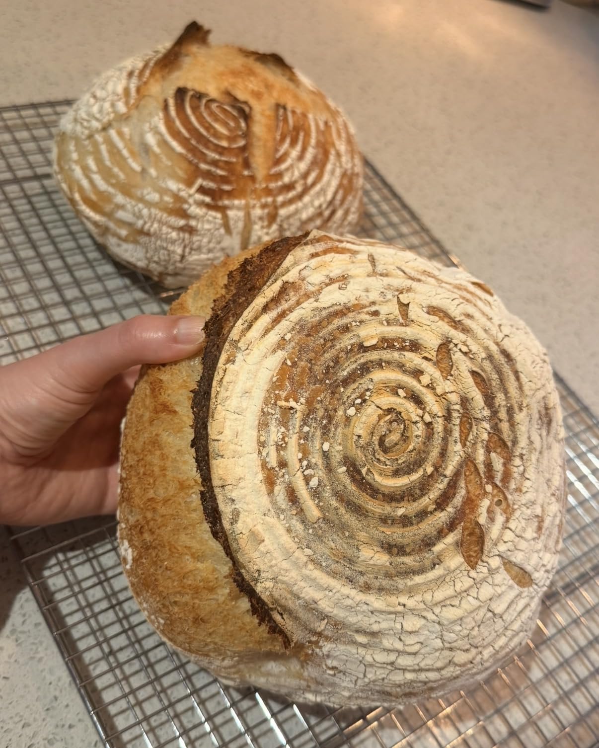 Superbaking Sourdough Starter Kit, 9