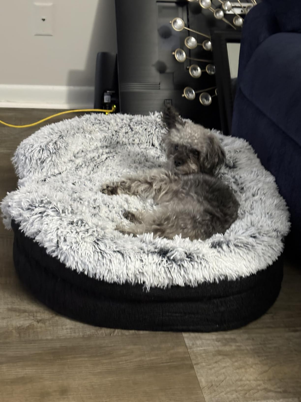 Miorun Fluffy Orthopedic Dog Beds Large Sized Dog, 43