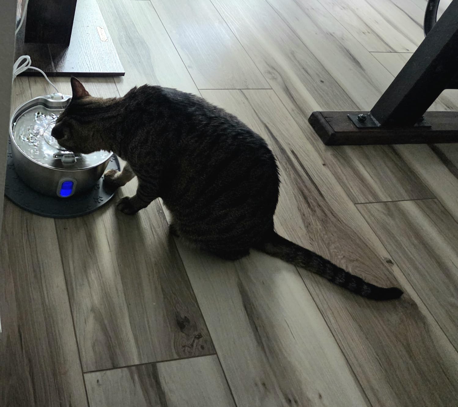 Stainless Steel Cat Water Fountain - 3.2L/108oz Cat Fountain for Drinking, Quiet Pet Water Fountain for Cats Indoor, Automatic Pet Water Bowl Dispenser for Kitty & Small Dog (4 Filters) customer photo 1