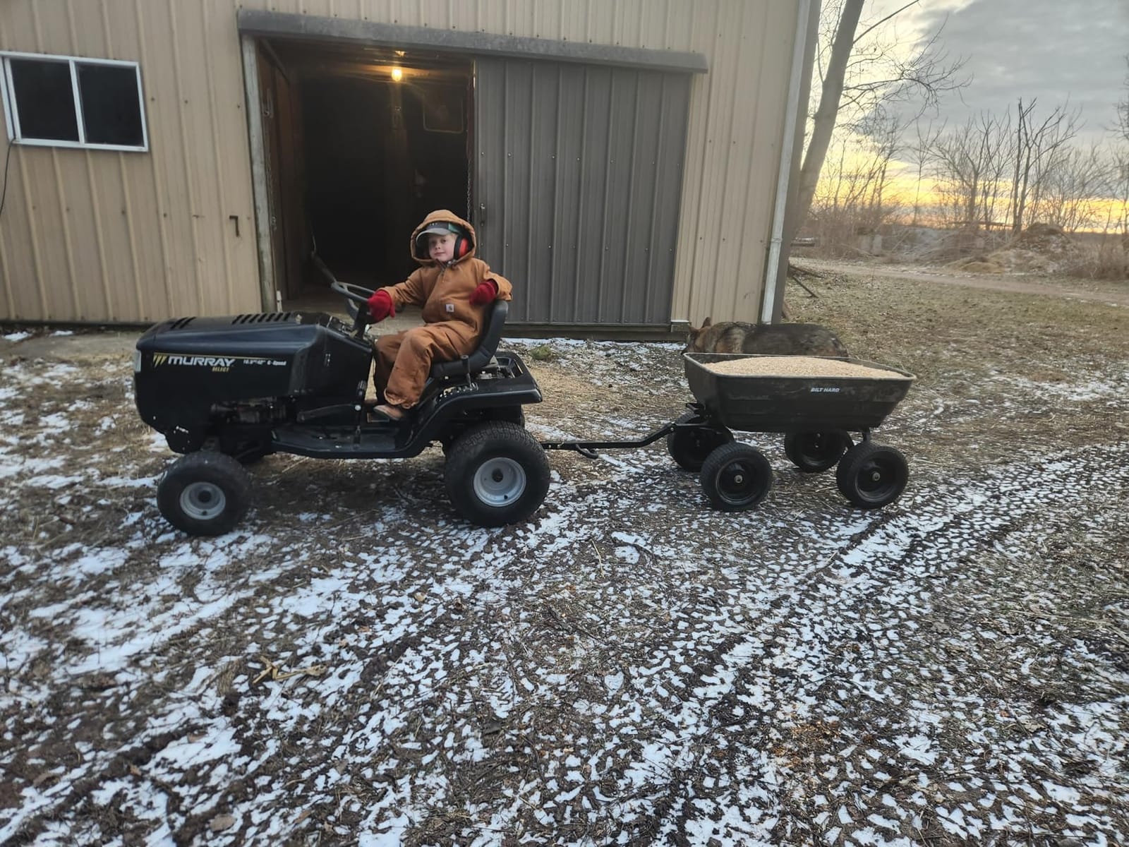 BILT HARD 7 Cu Ft Poly Garden Dump Cart 1200 lbs with No Flat Tires customer photo 1