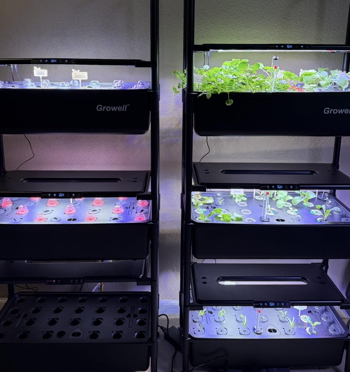 Growell Large Hydroponics Growing System Kit, 54 Pods Vertical Indoor Herb Garden Kit with LED Grow Light & Independent Water Pump, 28L Movable Indoor Planter Perfect Gardening Gifts (2 Tier-Black) customer photo 1