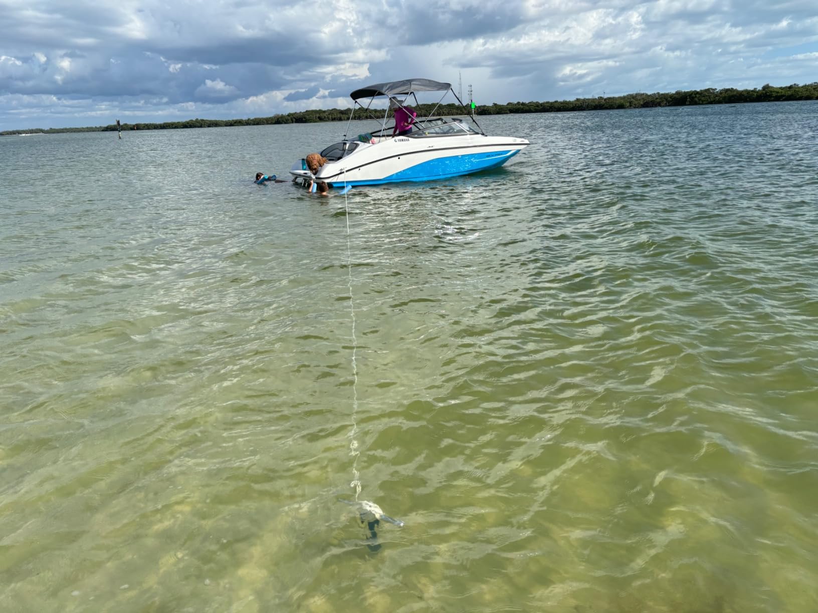 SandShark Anchor - Premium Screw in Boat Anchor, Pontoon Boat Anchor, Stainless Steel Shallow Water Anchor Pole, Sand Anchor w/Case customer photo 2