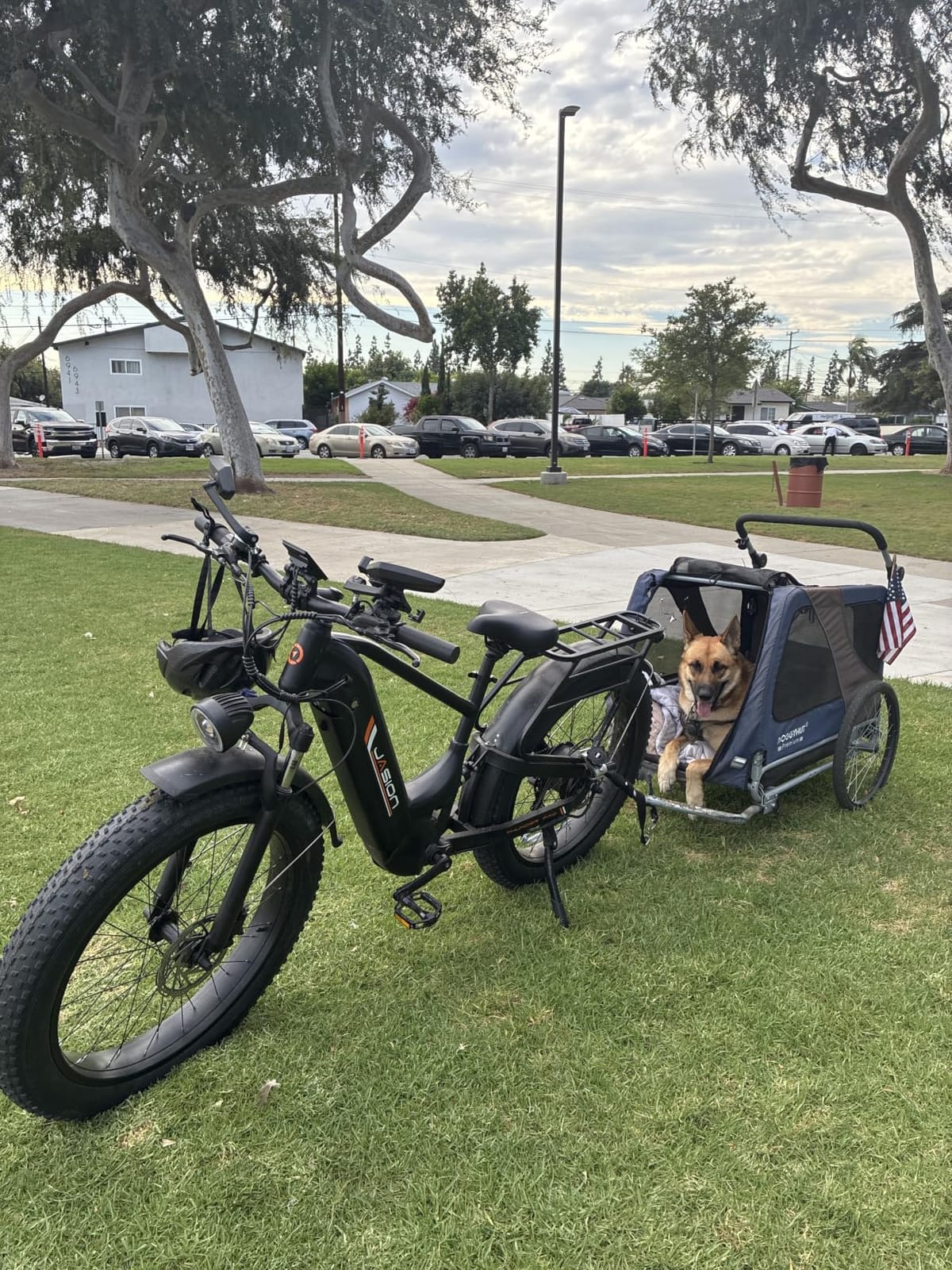 Jasion Thunder PRO/ST Electric Bike, 2000W Peak Ebikes for Adults, 26