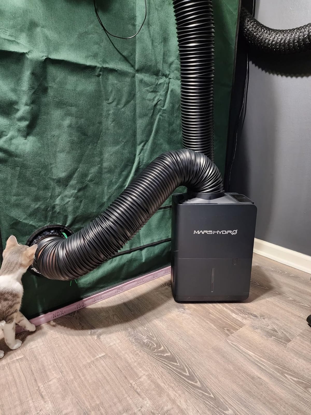 MARS HYDRO 38 Pints Plant Dehumidifier 18L/day for Grow Tent & Home | with Digital Temperature & Humidity Control Display, 2.1L Water Tank, Air Duct, Drain Hose & Washable Filter customer photo 1