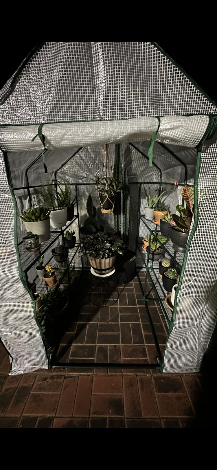 SPECILITE 79x40x83Inch Walk-in Lean to Greenhouse for Outdoors, White | Thicken PE Cover, Steel Frame, Zipper Roller Door, Screen Side Windows, Heavy Duty Small Plant House customer photo 1