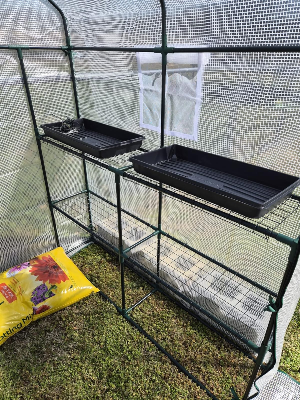 SPECILITE 79x40x83Inch Walk-in Lean to Greenhouse for Outdoors, White | Thicken PE Cover, Steel Frame, Zipper Roller Door, Screen Side Windows, Heavy Duty Small Plant House customer photo 2