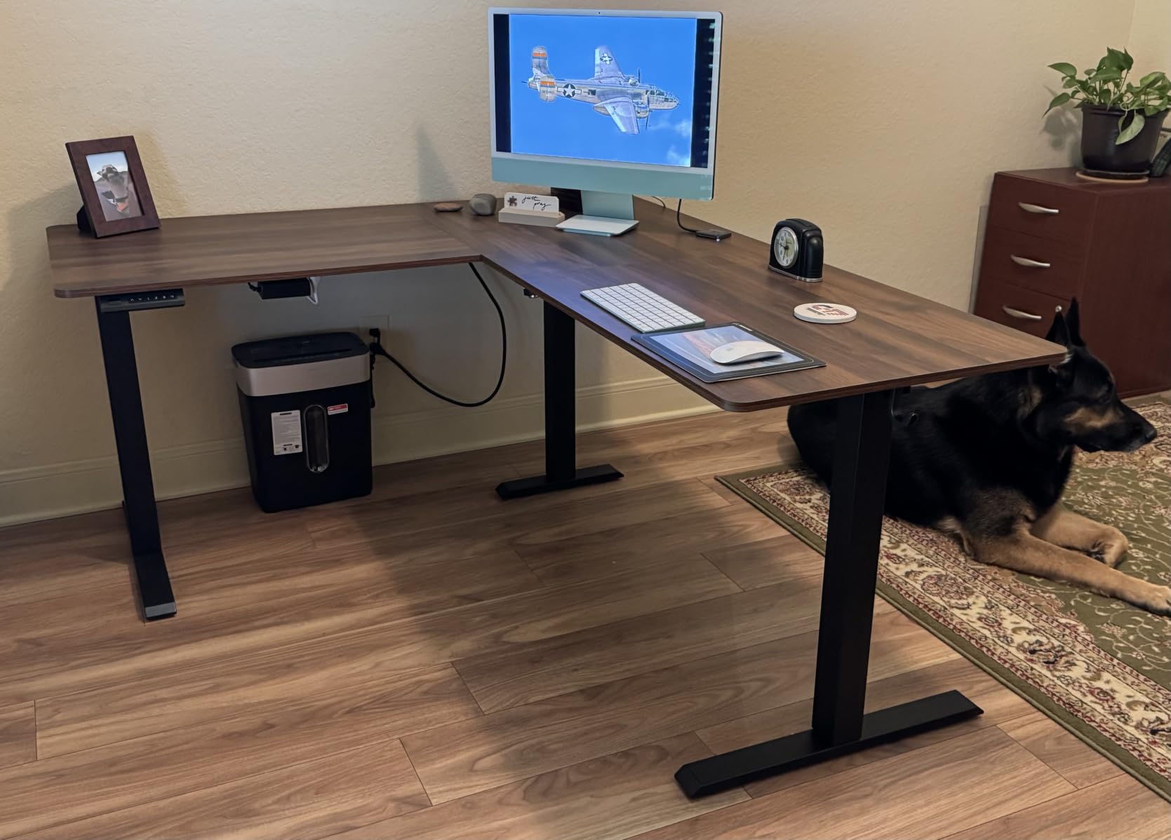 Cubiker Reversible L Shaped Standing Desk - 63 x 55 Inch Electric Adjustable Height Corner Standing Desk, Ergonomic Sit Stand Up Table with 3 Memory Buttons, Splice Board for Home Office, Black Walnut customer photo 2
