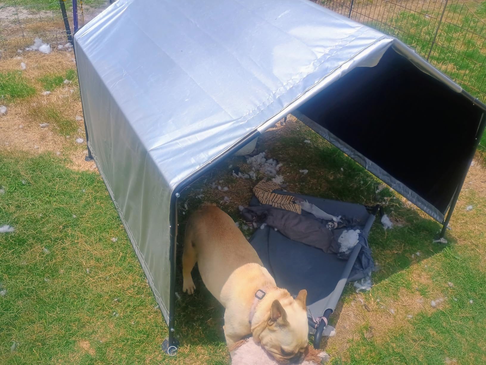 Dog Shade for Outside, 4'x4'x3' Large Outdoor Dog Tent | Waterproof All-Season Pet Canopy Shelter with Ground Nails for Dogs, Cats, Small Animals and Livestock customer photo 2