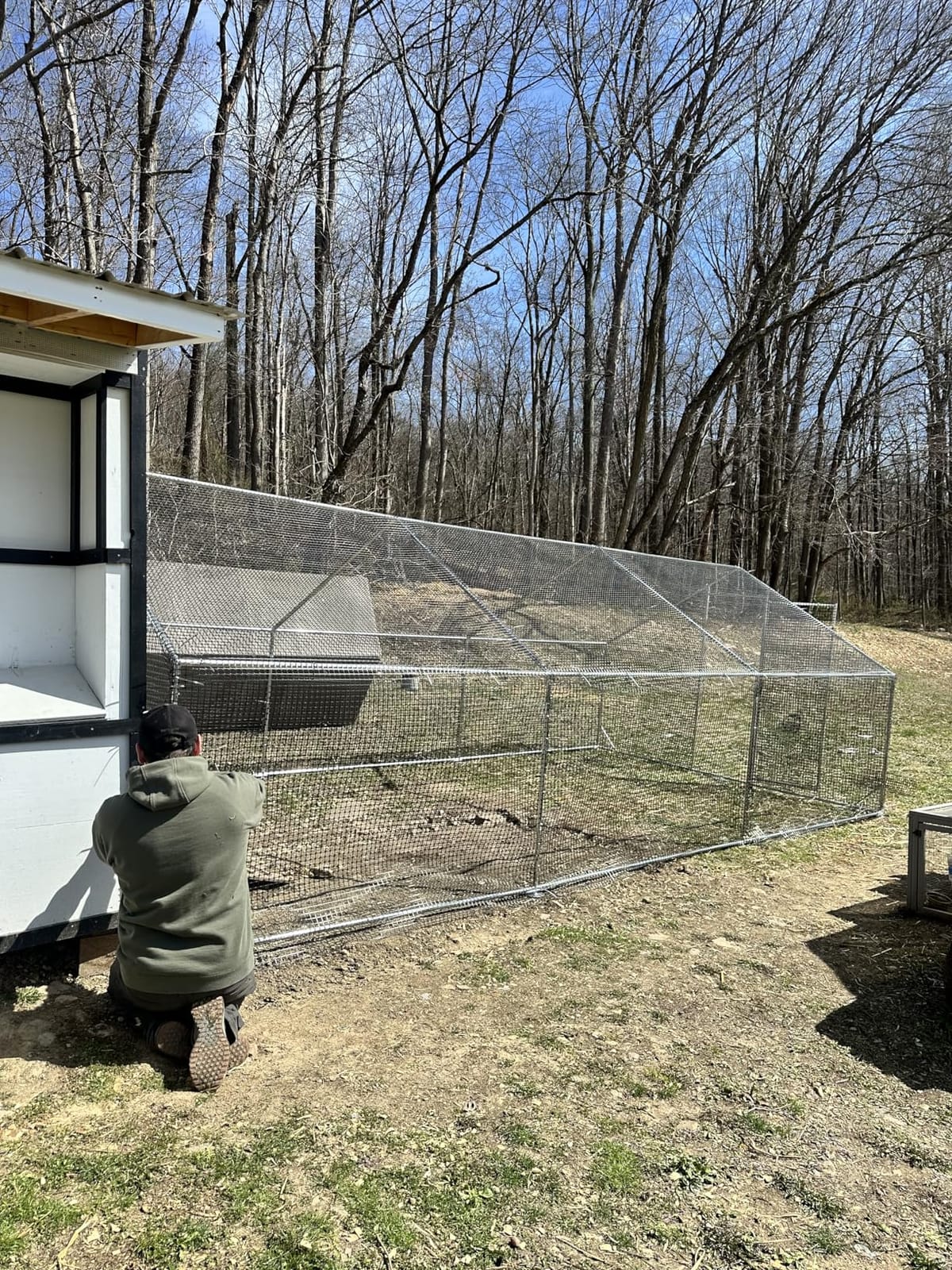 CAMMOO Metal Chicken Coop with Run, 13.1x9.8x6.6ft, Walk-in Chicken Run for Yard with Cover, Upgrade Double Lock & Rust-Proof Mesh, Stainless Steel Ties, Easy Assembly, Chicken Pen for Ducks, Rabbits customer photo 1