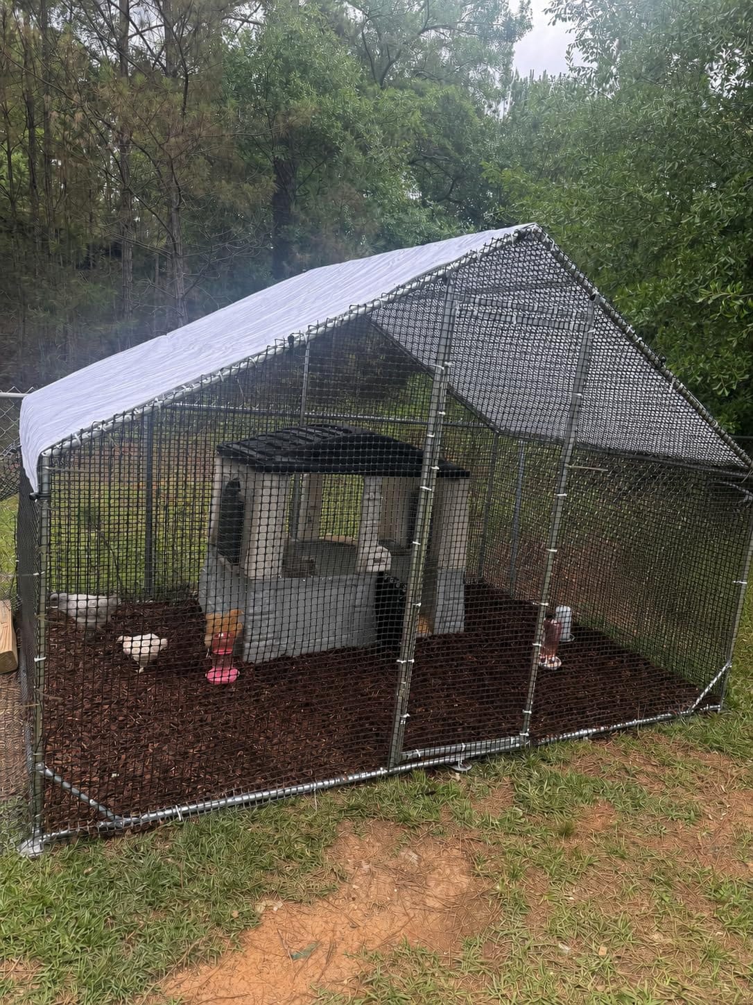 CAMMOO Metal Chicken Coop with Run, 13.1x9.8x6.6ft, Walk-in Chicken Run for Yard with Cover, Upgrade Double Lock & Rust-Proof Mesh, Stainless Steel Ties, Easy Assembly, Chicken Pen for Ducks, Rabbits customer photo 2