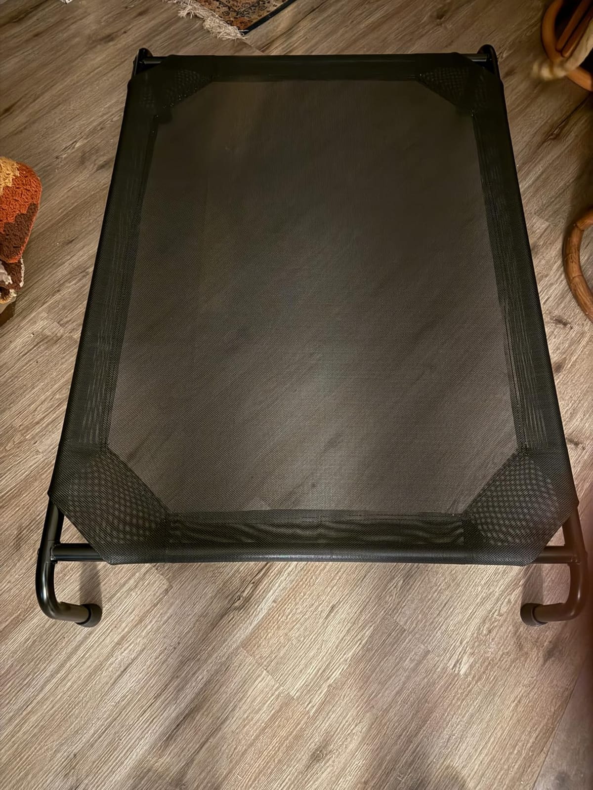 Ekisemio Elevated Dog Bed for Large Dogs, Waterproof XL Pet Cot with Breathable Mesh, Outdoor & Indoor Cooling Dog Bed, Raised Frame for Joint Support, Black customer photo 2