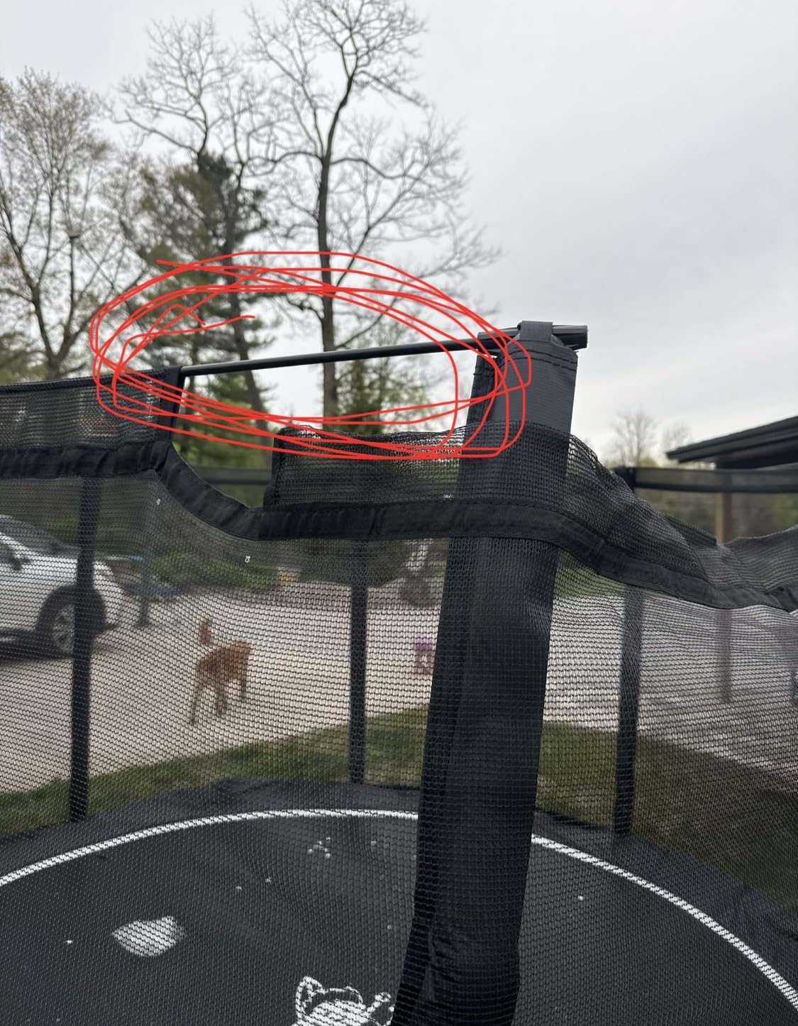 Round In-Ground Trampoline - Heavy-Duty Flush-to-Ground Outdoor Jumping Mat with Galvanized Frame, Safety Padding & Easy Install Kit | Ideal for Kids, Families & Athletes| 12 or 14 Diameter Trampoline customer photo 1