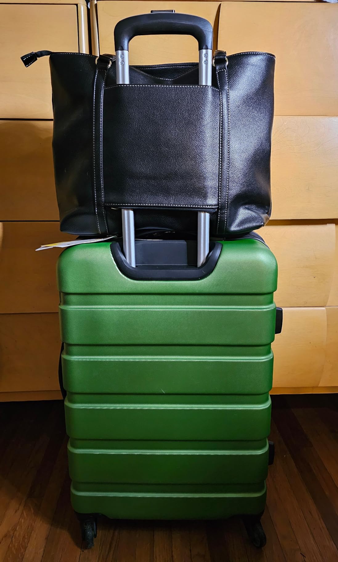 Signature Hardside Expandable Checked Large Spinner Luggage, ABS Construction, TSA-Friendly Lock, Olive Branch, 27-Inch customer photo 1