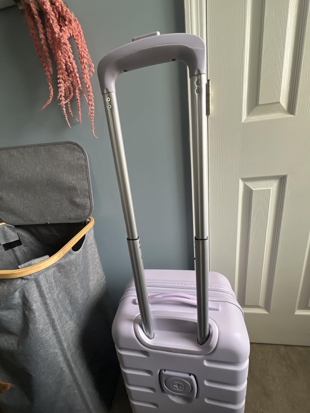 Signature Hardside Expandable Checked Large Spinner Luggage, ABS Construction, TSA-Friendly Lock, Olive Branch, 27-Inch customer photo 2