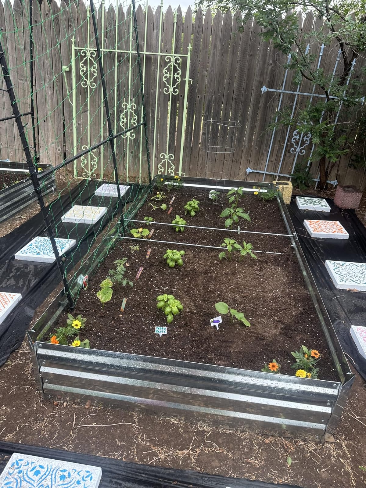 Galvalume Raised Garden Bed 8x4x1.95ft Tall Deep Planter Outdoor | 3X Anti-rust Aluminum-Zinc Steel, waist-high no-bending, 466Gal deep raised bed for root veggies & potatoes, heavy-duty customer photo 1