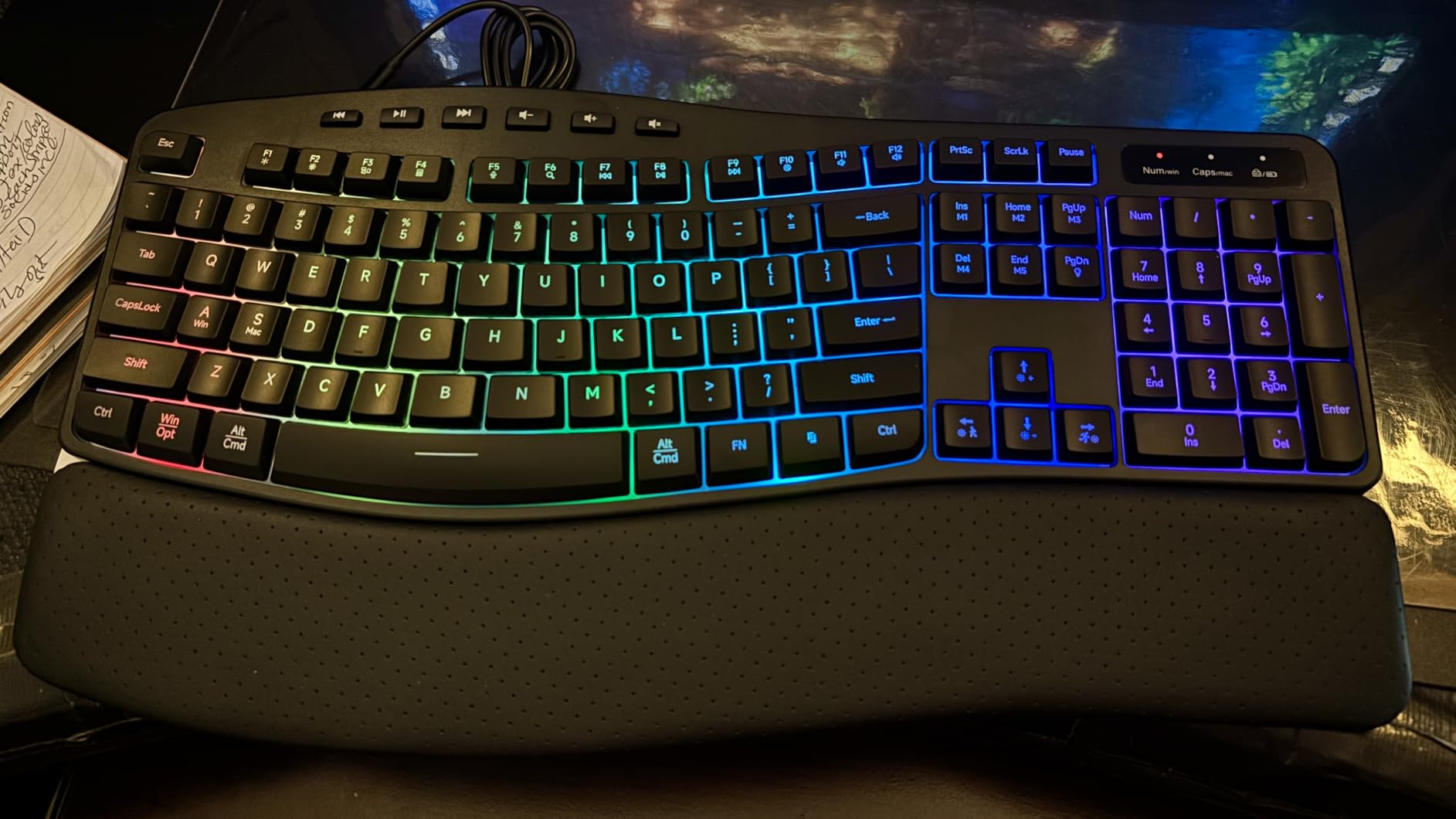 COLIKES Wireless Ergonomic Keyboard, Backlit Keyboard Silent with 15 RGB Lighting Effects, Leather Wrist Rest, 2500mAh Rechargeable, Multimedia Keys, Wave Keyboard for PC Computer Laptop Windows Mac customer photo 1