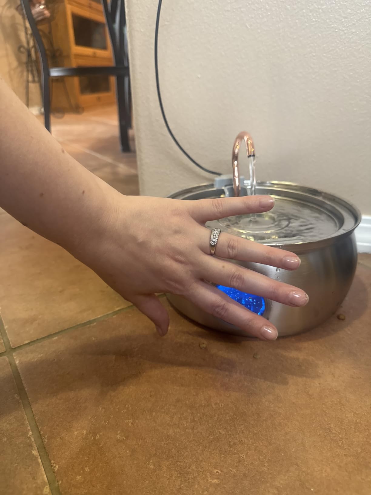 Cat Water Fountain Stainless Steel -135oz/4.0L Cat Fountain for Drinking, Ultra Quiet Pump, Easy to Clean, 3 Filters, Pet Watering Bowl Dispenser for Cats, Dogs, Multiple Pets customer photo 1