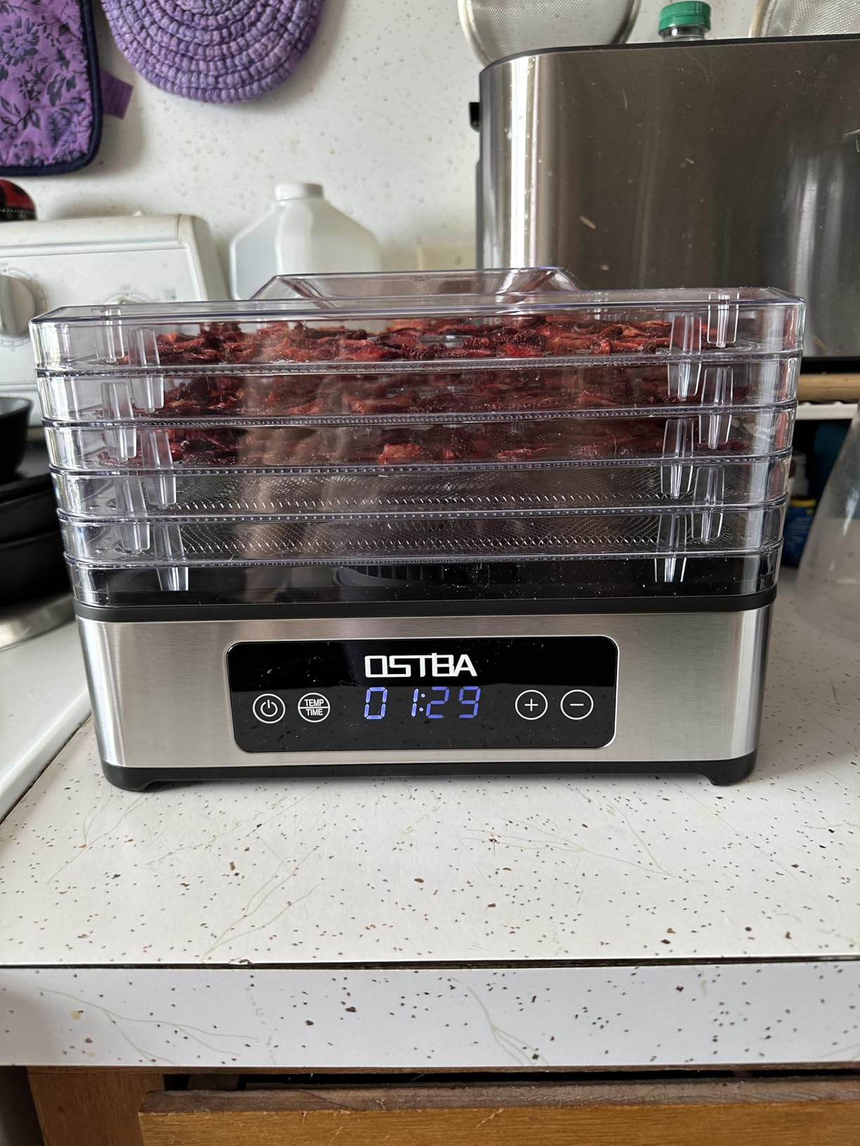 OSTBA Food Dehydrator, 5 Stainless Steel Trays, 400W Powerful Drying, 48H Timer & 95-160°F Temp Control, Quiet Small Dryer for Jerky, Fruits, Herbs, Mushrooms, BPA-Free, Recipes Included customer photo 2