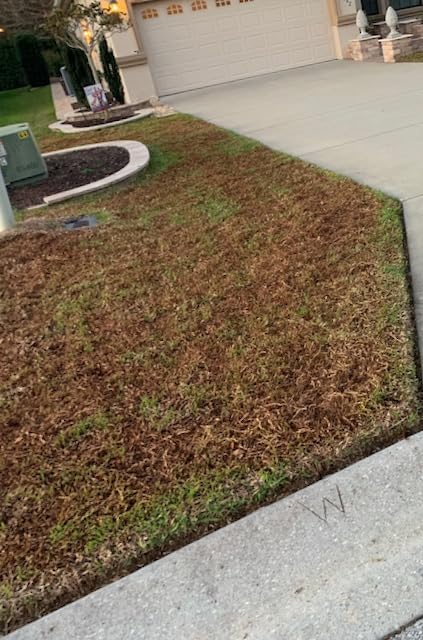 TIECTOWN 2026 Upgrade 16-Inch 15.5 Amp 2-in-1 Electric Dethatcher and Scarifier with 14.5-Gallon Collection Bag, Lawn Dethatcher with 5-Position Depth Adjustment, Keeps Lawn Healthy - Green customer photo 2