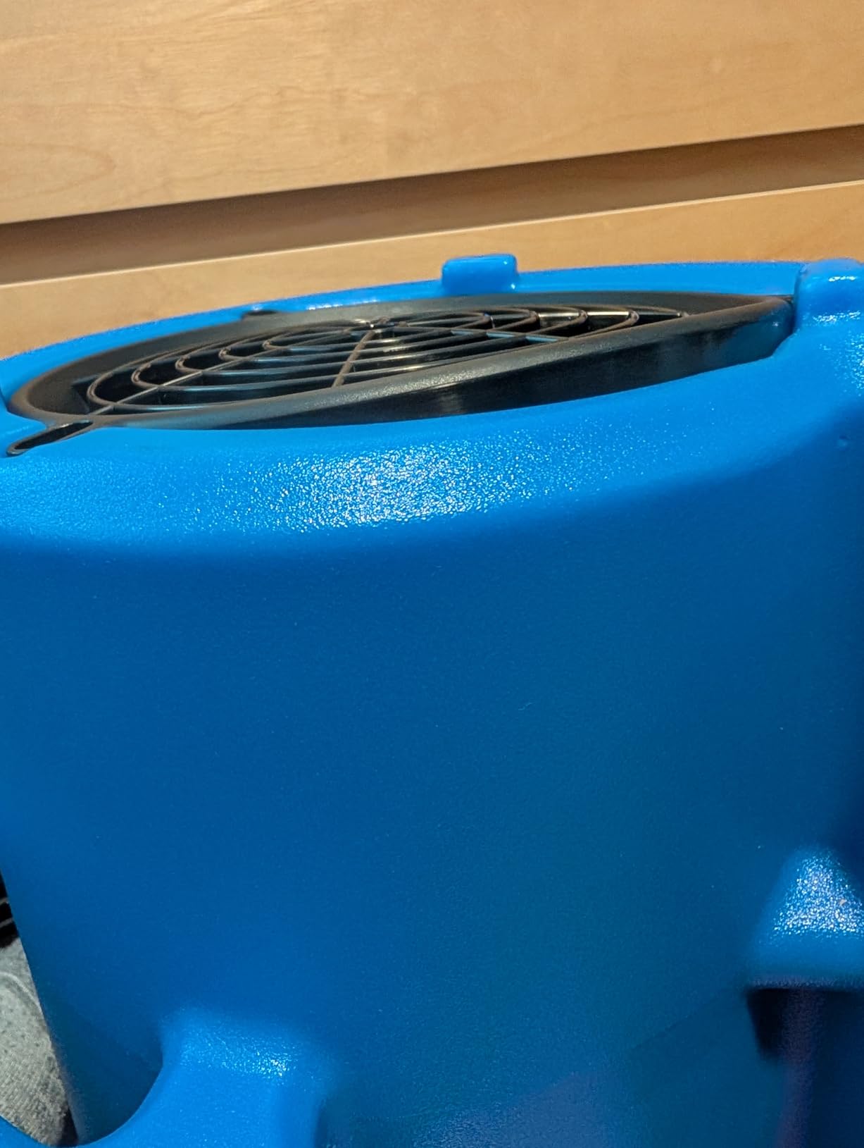 BEYOND BREEZE 1/4 HP 1000 CFM Air Mover Blower Fan with 3 Speeds, Blue | Heavy-Duty Floor Carpet Dryer with 4 Adjustable Angles, Built-in Dual AC Outlets, 10 Ft Cord, Great for Home and Commercial customer photo 2