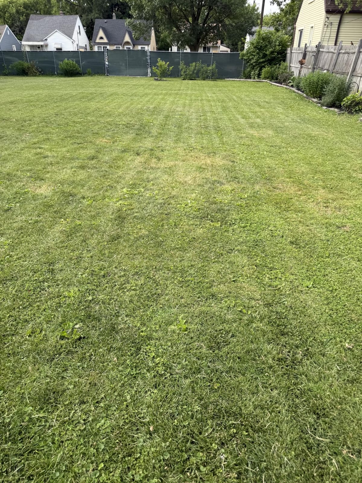 ECOVACS Goat A3000 LiDAR PRO Robotic Lawn Mower, Dual LiDAR Navigation | For Lawns Up to 3/4 Acre, Fast Charging, High-Efficiency Mowing up to 400 m²/h, Built-in TruEdge Edge Trimmer, App Control customer photo 1