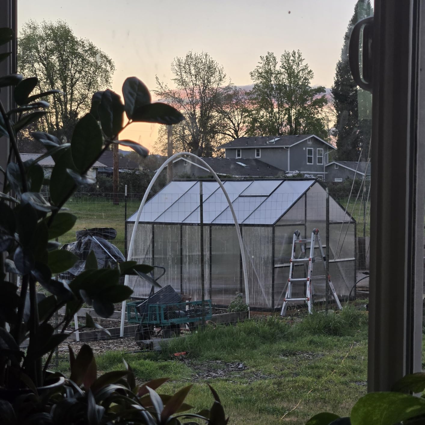 6x10FT Greenhouse with Hygrometer, Windproof Warm Plant Green Houses | Polycarbonate Green House with UV Protection, Heavy Duty Greenhouse with Aluminum Frame, Roof Vent & Quick-Install Design customer photo 2