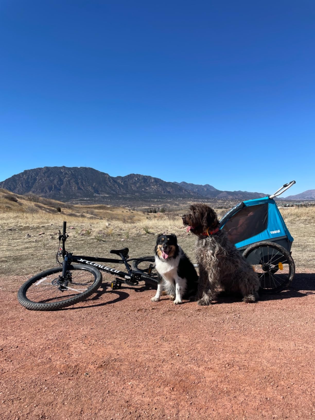 Thule Coaster XT 2-Seat Bicycle Trailer & Stroller customer photo 1