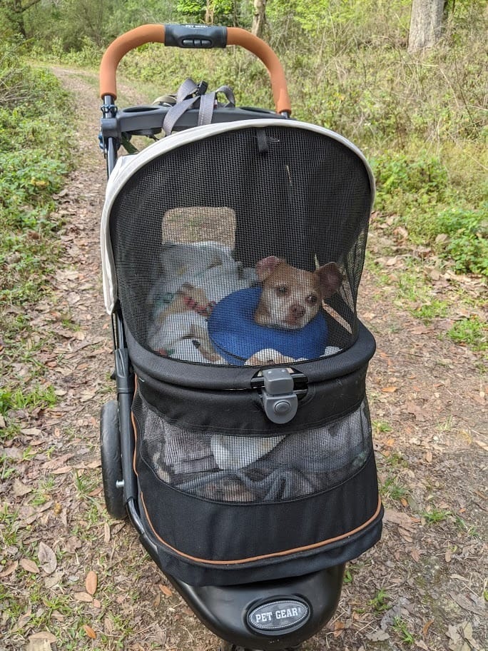 Pet Gear No-Zip AT3 Pet Stroller for Cats/Dogs, Sea Salt customer photo 1