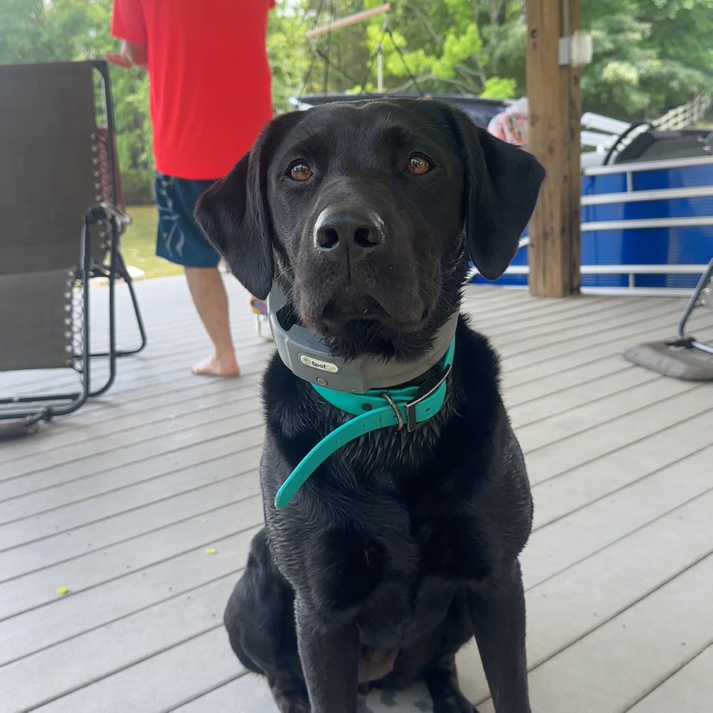 SpotOn Nova GPS Dog Fence Collar, App-Controlled Wireless Fence | Wireless GPS dog fence collar with no subscription required for unlimited fences, any shape, any size, anywhere customer photo 2