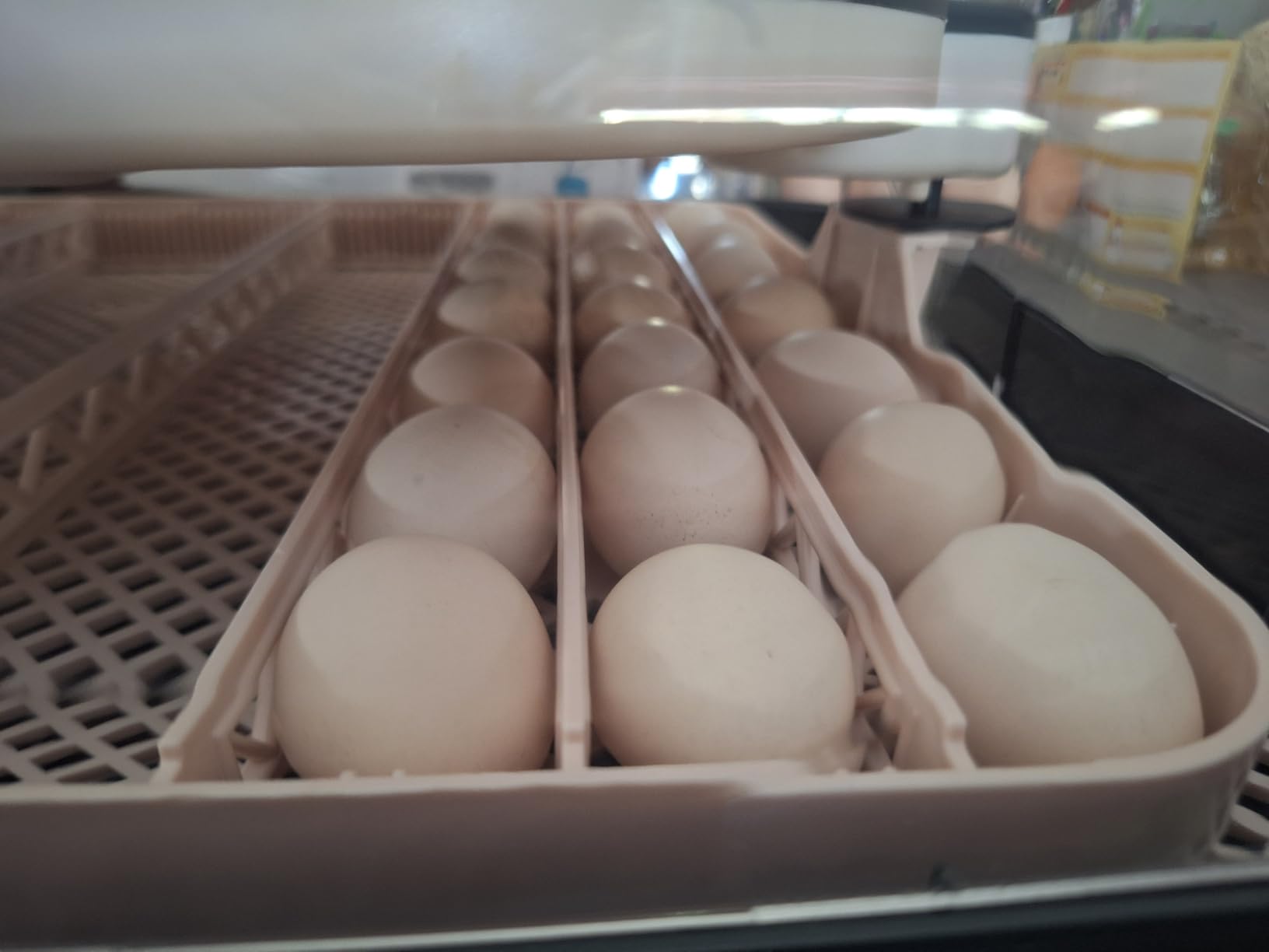 Sailnovo 70 Egg Incubators, Auto Humidification & Temperature Control, Auto Egg Turning & Built-in Candler & Alert System, Incubator for Chicken Duck Quail Eggs customer photo 2