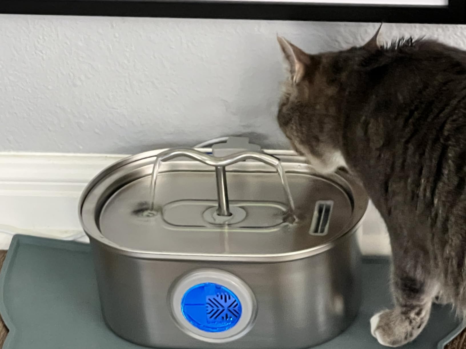 3.2L/108oz Stainless Steel Cat Water Fountain Pet Fountain, Automatic Pet Water Dispenser, Self-Designed Filtration System, Ultra-Quiet Pump, Easy Cleaning & Maintenance (3 Filters) customer photo 2