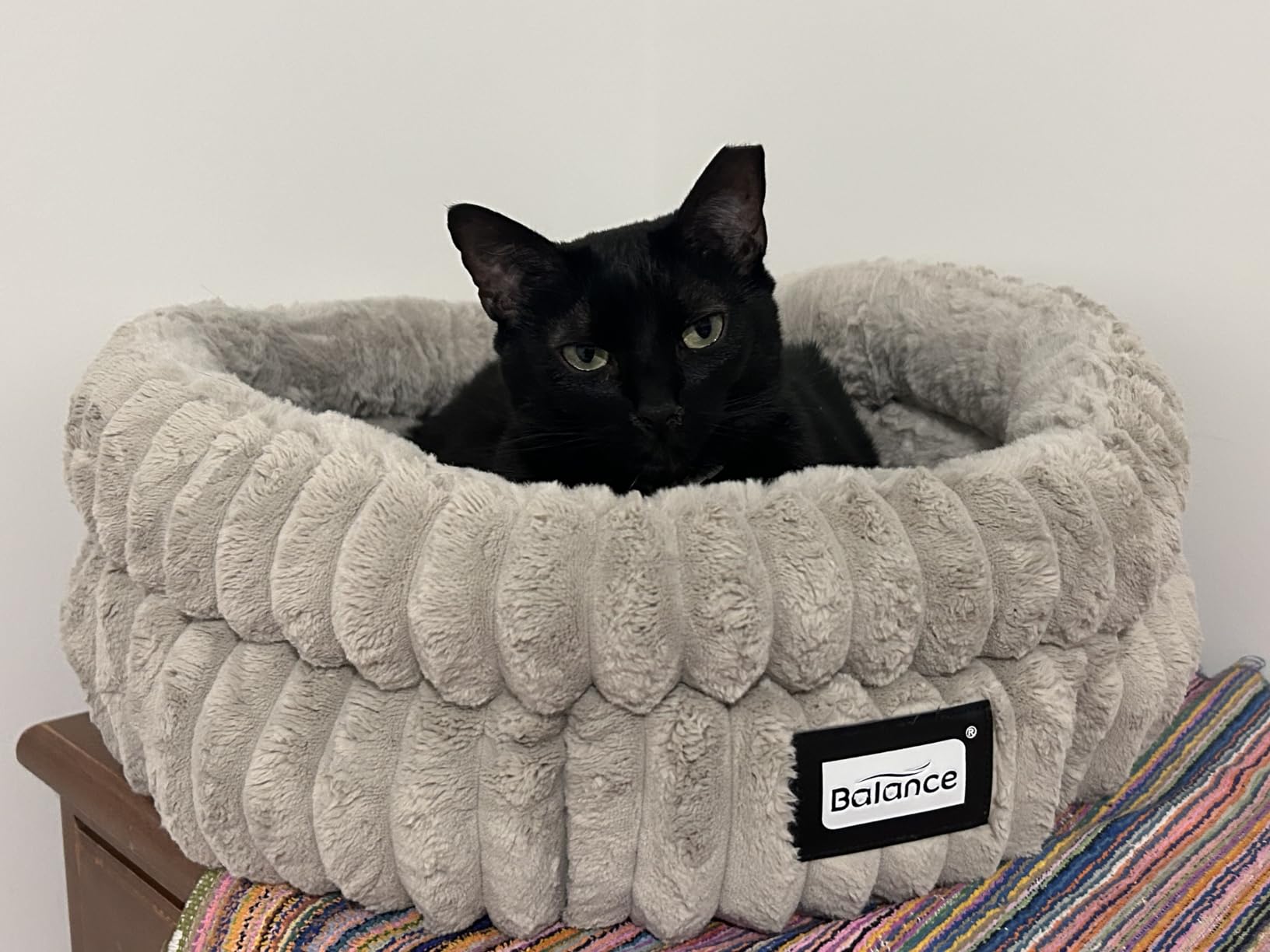BALANCE Donut Dog Bed, 36 Inches Round Dog Bed Large Size Dogs Washable, Orthopedic Calming Dogs Beds customer photo 2