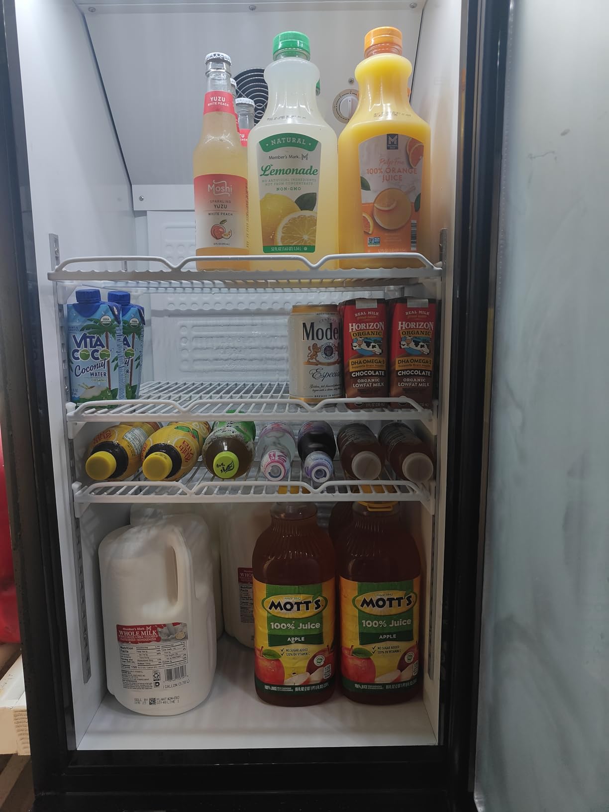 41.3''W Commercial Beverage Refrigerators, 30 Cu.ft. Glass Door Refrigerator Upright Display Cooler with Soft LED Light and Adjustable Shelves for Restaurant Grocery Stores Home customer photo 1
