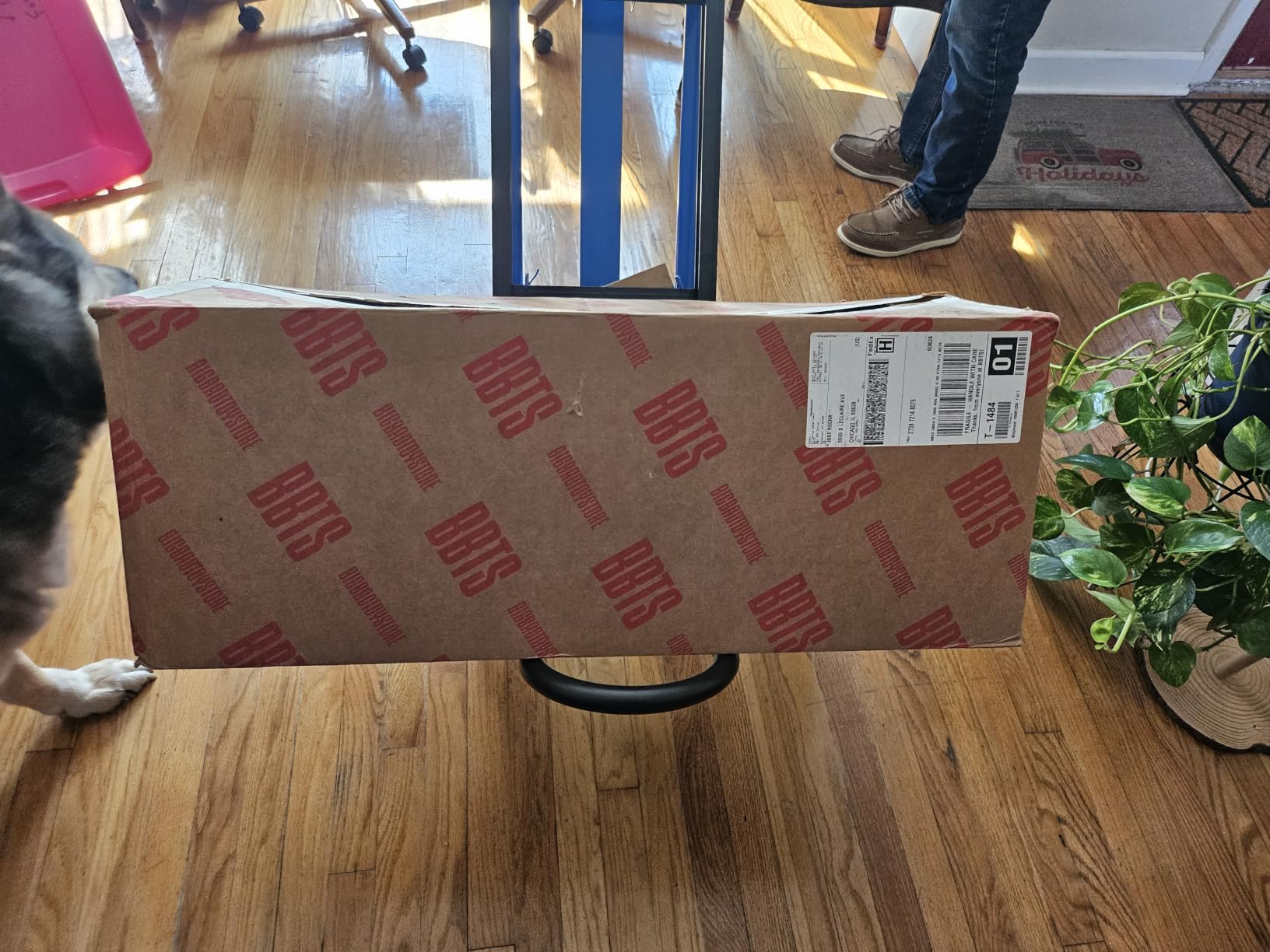 Heavy Duty 1000LBS Stair Climbing Dolly, 3 in 1 Convertible Hand Truck, Red | Aluminum Foldable Cart with Solid Rubber Tri-Wheels, Loop Handle and 2 Bungee Cords for Moving, Travel and Office customer photo 1