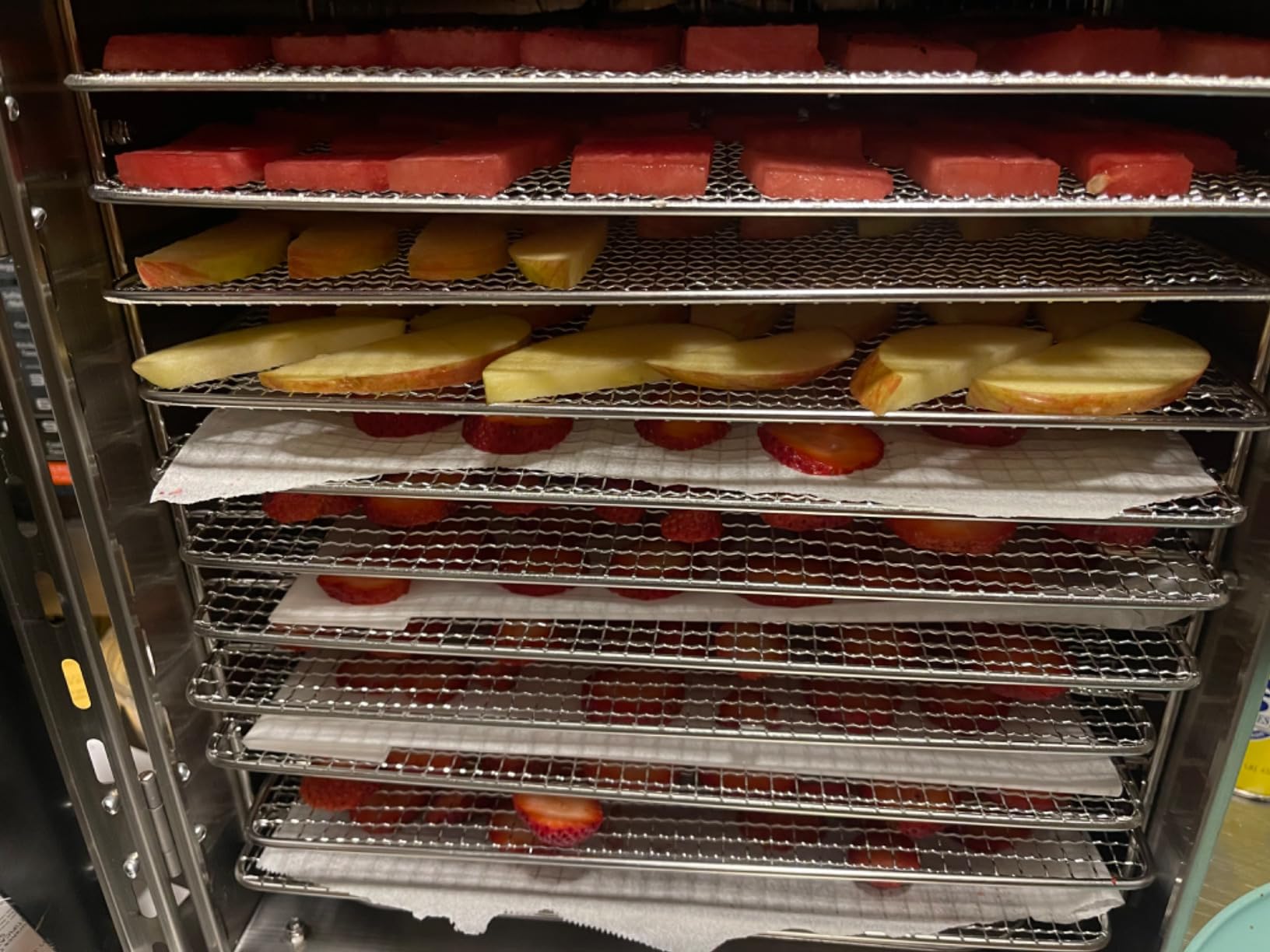 Commercial Large 12 Trays Food Dehydrator Machine, 11.6ft² 1100W | Stainless Steel, 86-194°F, 48H Timer, 5 Presets, 360° Airflow, Quiet Food Dryer for Jerky, Meat, Fruit, Veggies, Beef,Herbs customer photo 2