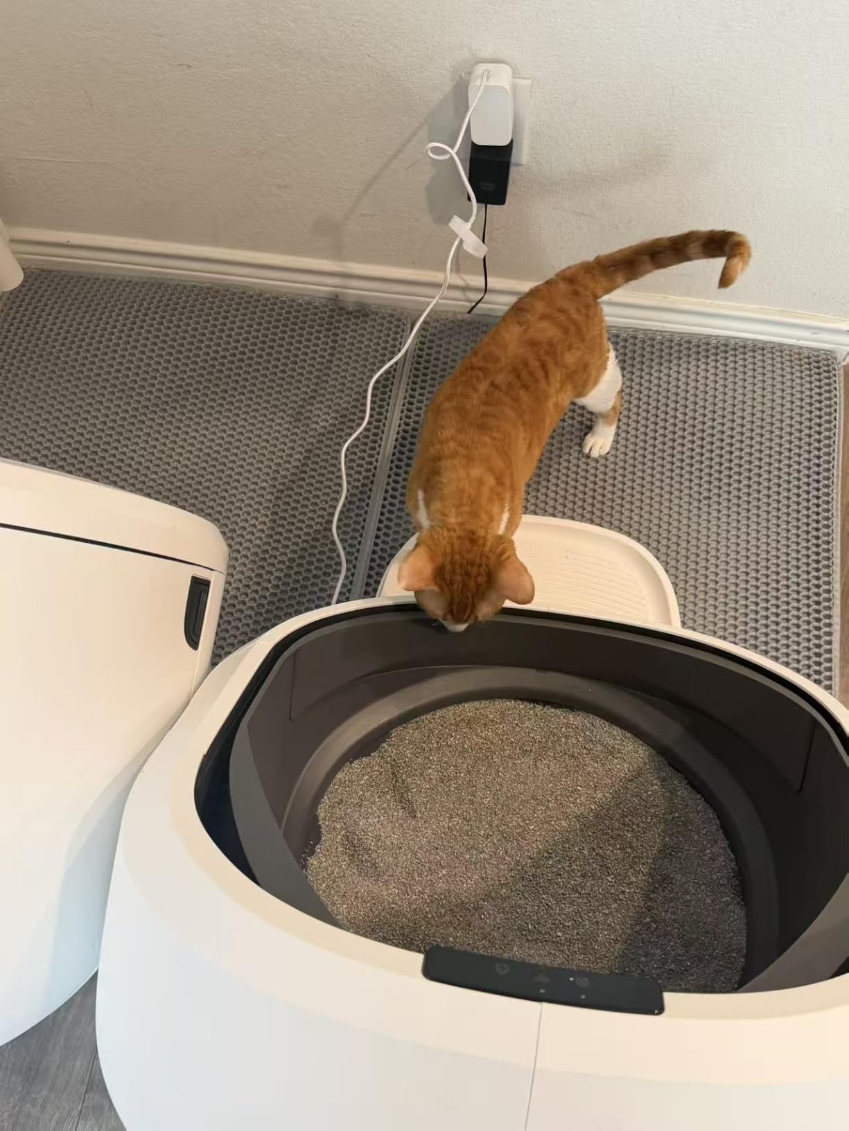 PETLIBRO Automatic Litter Box with Accessories Kit, Large Open-Top Self Cleaning Litter Box with AI-Camera Waste Analysis, Multi-Cat Recognition, Usage Tracking and Auto Odor Control customer photo 1