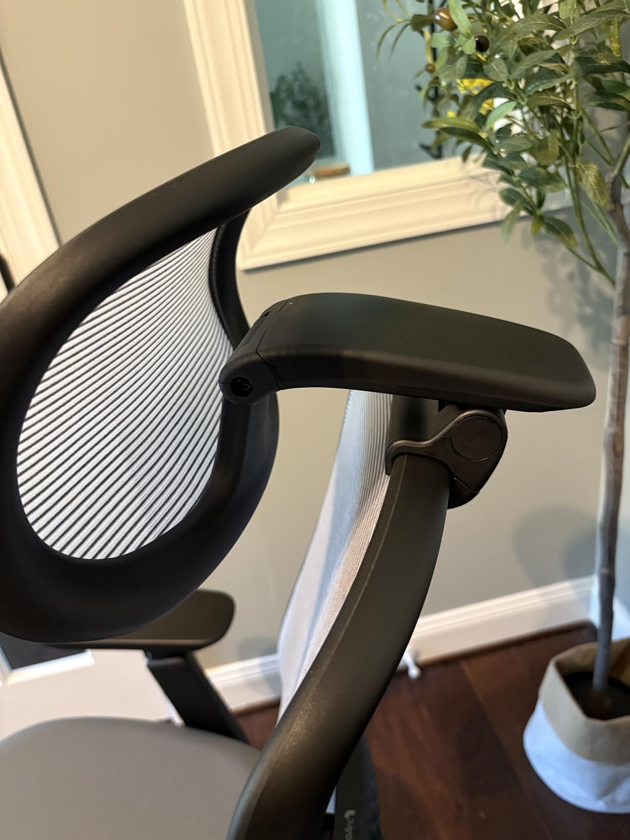 ProtoArc EC200 Ergonomic Office Chair with Adjustable Seat Depth, Lumbar Support, High-Back Mesh Desk Chair customer photo 1