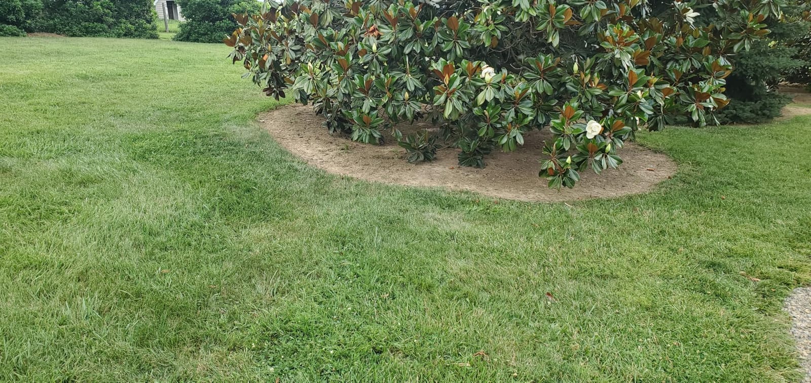 GreenSweep Pickup Pro V26 with AntiLock Drive - Push Lawn Sweeper for Leaves, Grass Clippings & Garden Debris - Large Capacity Hopper customer photo 2