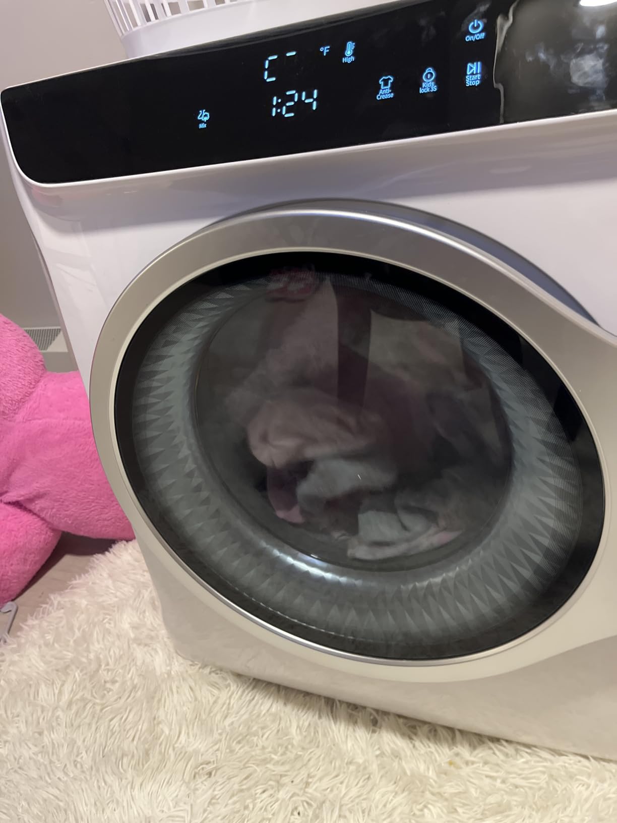 Auertech 2.6 CU. FT. Portable Dryers for Laundry, Compact Clothes Dryer with Stainless Steel Tub, 1400W Dryer Machine, Electric Dryer with Control Knob for Apartment, Dorm, RV, White customer photo 2