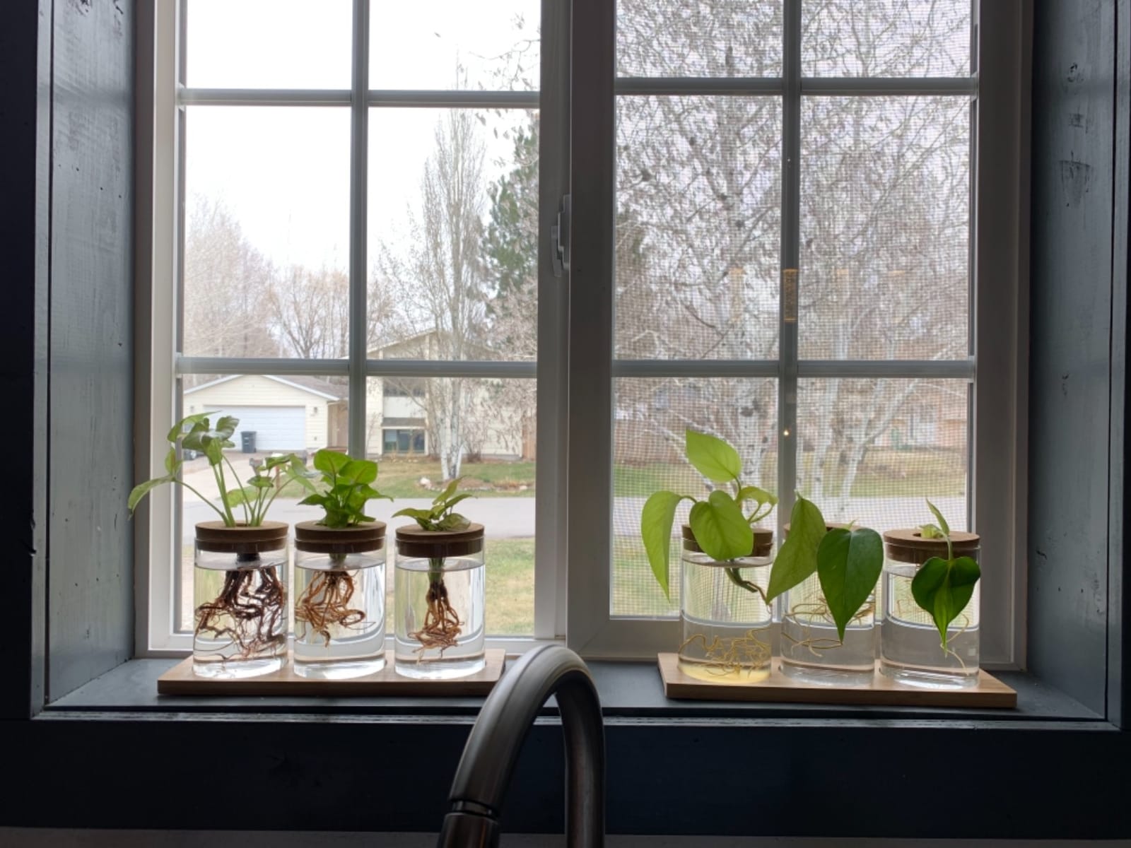Plants Propagation Station | Vertical Hydroponic Tower Garden - Hydroponics Growing System Indoor, Aeroponic Tower Kit 30 Pods Grow customer photo 1