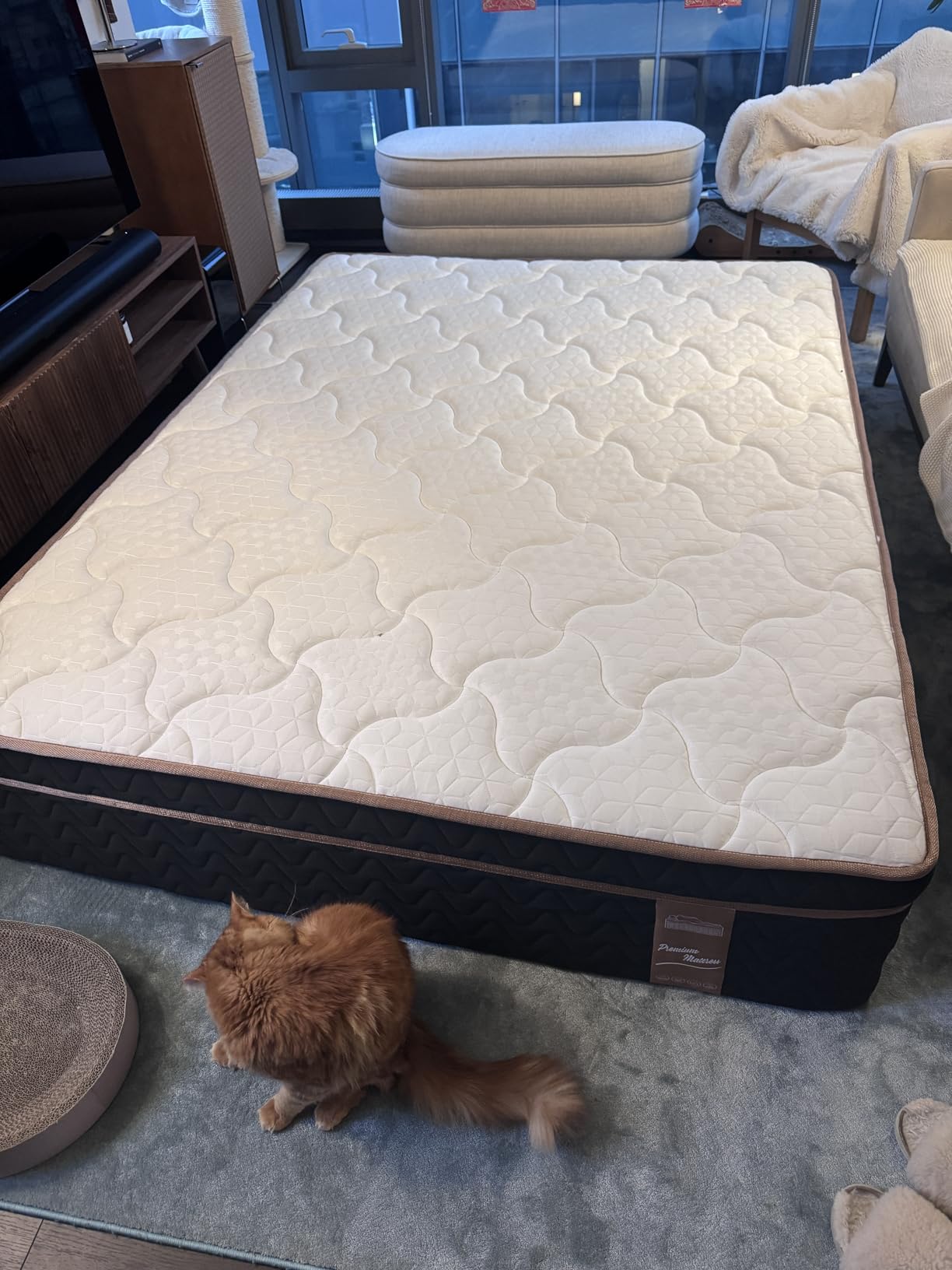 Queen Mattress 14 Inch, Luxury Hotel Cooling Hybrid Bed Mattress in a Box | Zones Individual Pocket Spring, Extra Hip/Shoulder/Lumbar Support, Fiberglass-Free, 365-Night Trial, CertiPUR-US customer photo 2