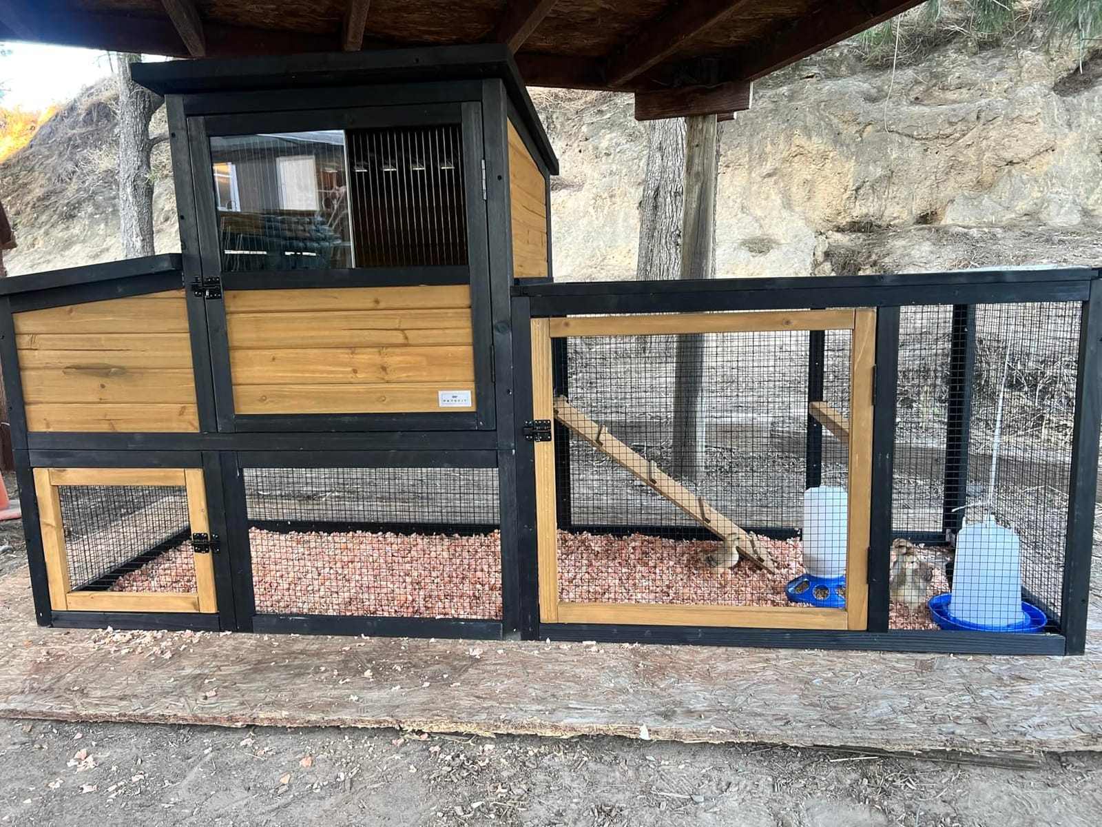 Petsfit Outdoor Chicken Coop with Run for 4-6 Chickens, 3 Nesting Boxes | 71 x 42 x 45 in; predator-resistant ground anchors, 3-door cleaning access, washable floor, 3 perches and chicken swing customer photo 2