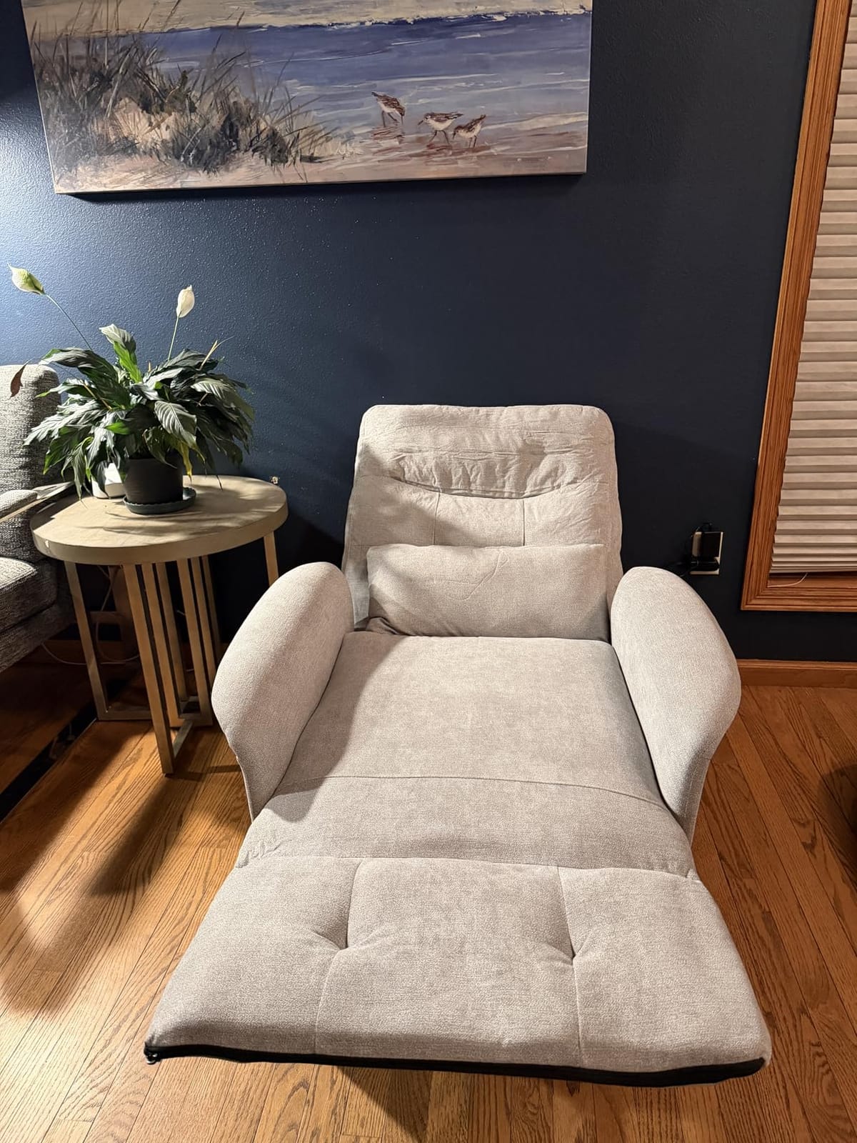 Power Recliner Chair with Heat & Massage, Electric Recliner for Elderly | Reclining Sofa with Remote Control 3 Side Pockets, Easy Assembly Sleeper for Living Room Home Theater, Soft Fabric Light Grey customer photo 1