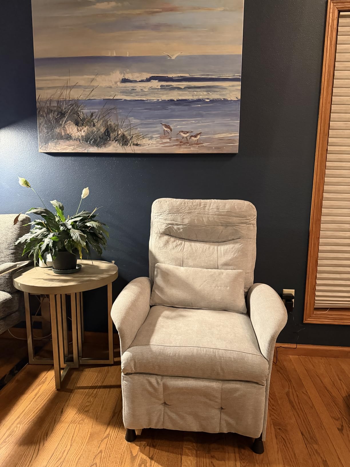 Power Recliner Chair with Heat & Massage, Electric Recliner for Elderly | Reclining Sofa with Remote Control 3 Side Pockets, Easy Assembly Sleeper for Living Room Home Theater, Soft Fabric Light Grey customer photo 2