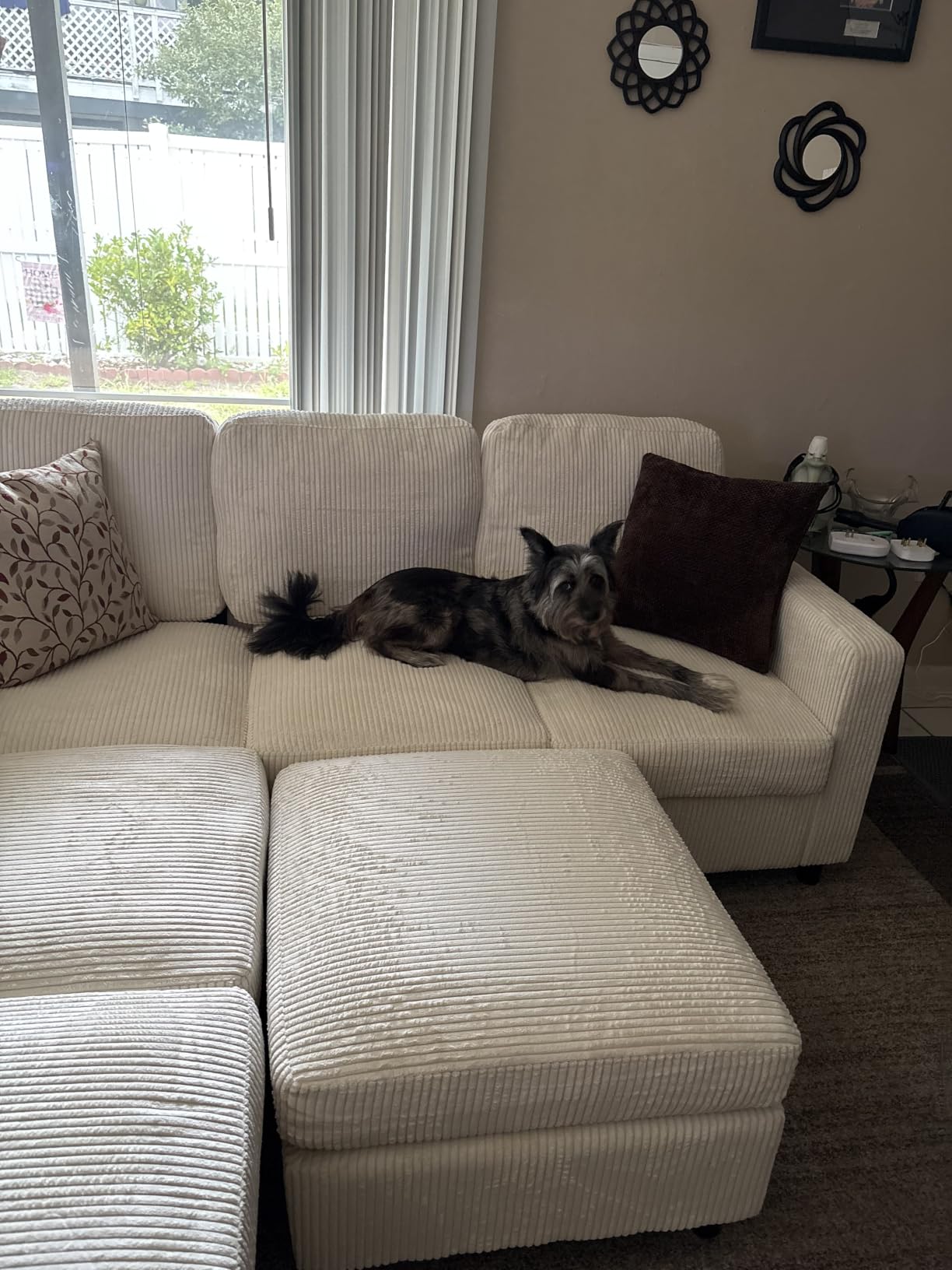 HONBAY Sectional Sofa, 6 Seats 80 Inch L Shaped Couch with Ottoman Pet-Friendly for Small Apartment Living Room, Light Grey customer photo 2