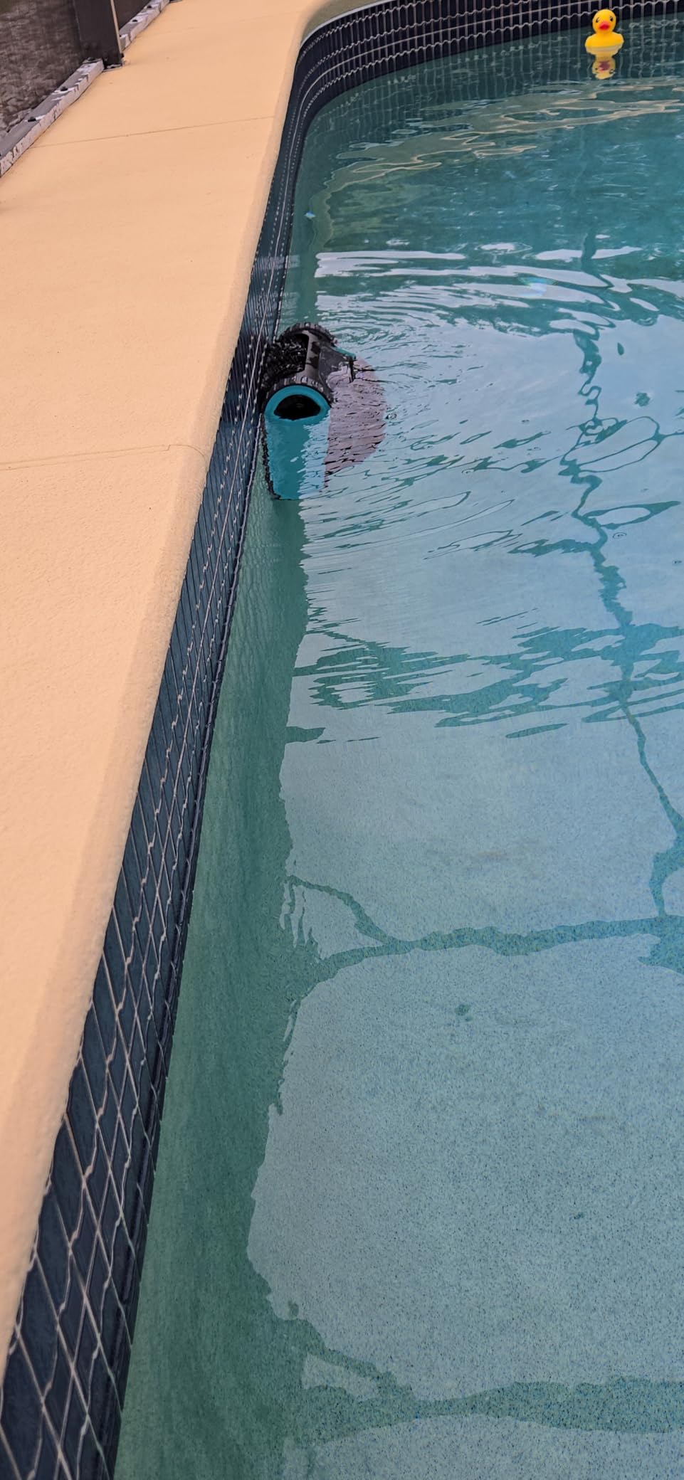 Aiper Scuba S1 Robotic Pool Cleaner, 270 Min Runtime, Floor/Wall/Waterline/Shallow Area Cleaning, Ultra-fine Filter, Smarter Navigation, High-Precision Sensors, App Support customer photo 2